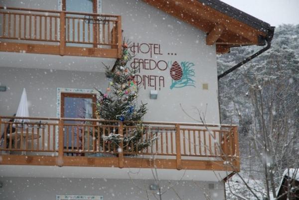 Hotel Faedo Pineta Chambre photo
