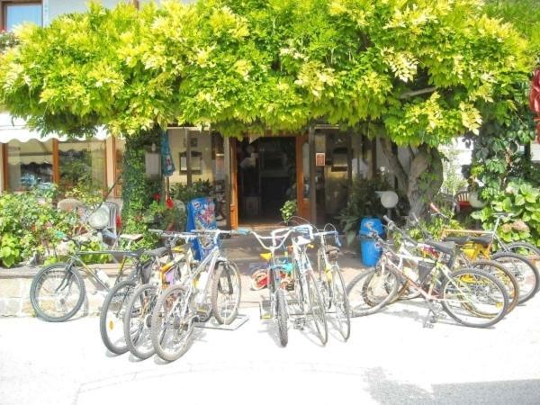 Hotel Faedo Pineta Chambre photo